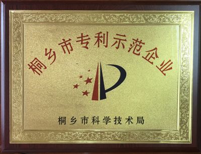 Tongxiang Patent Demonstration Enterprise